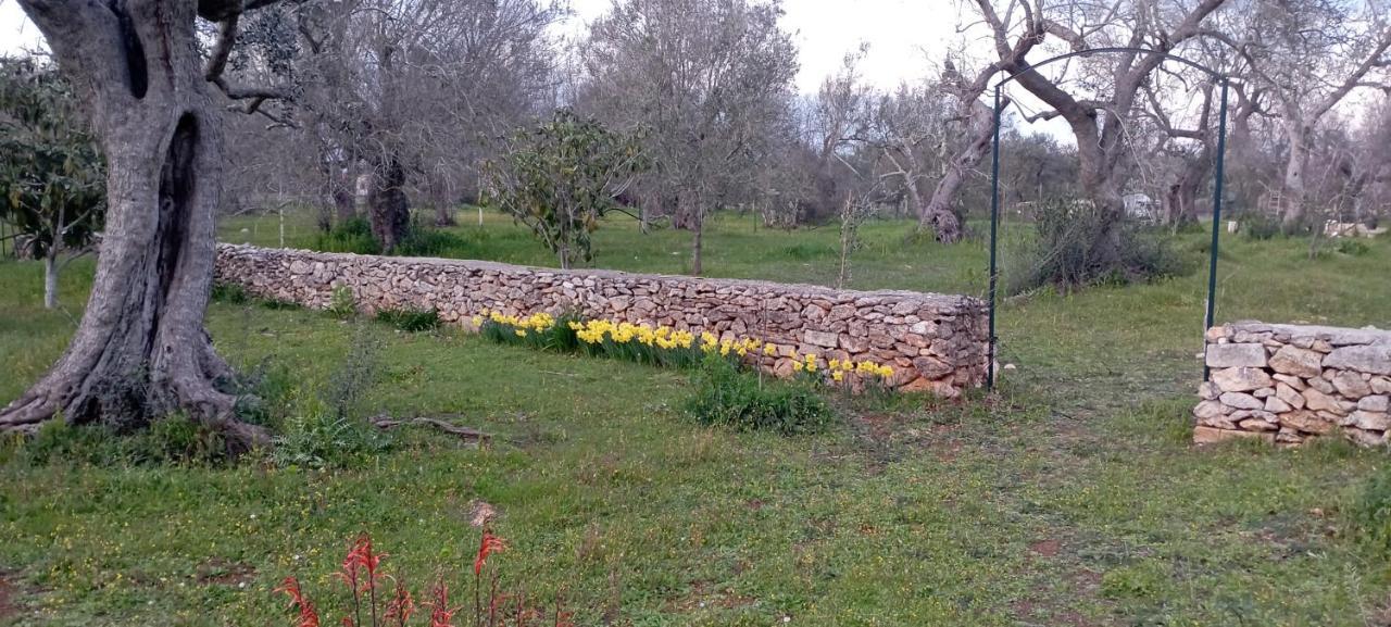 Villa La Petraia Magliano Exterior foto