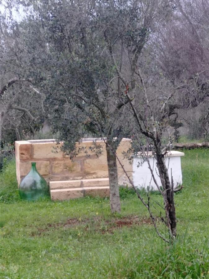 Villa La Petraia Magliano Exterior foto