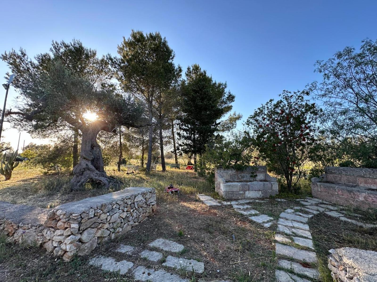 Villa La Petraia Magliano Exterior foto