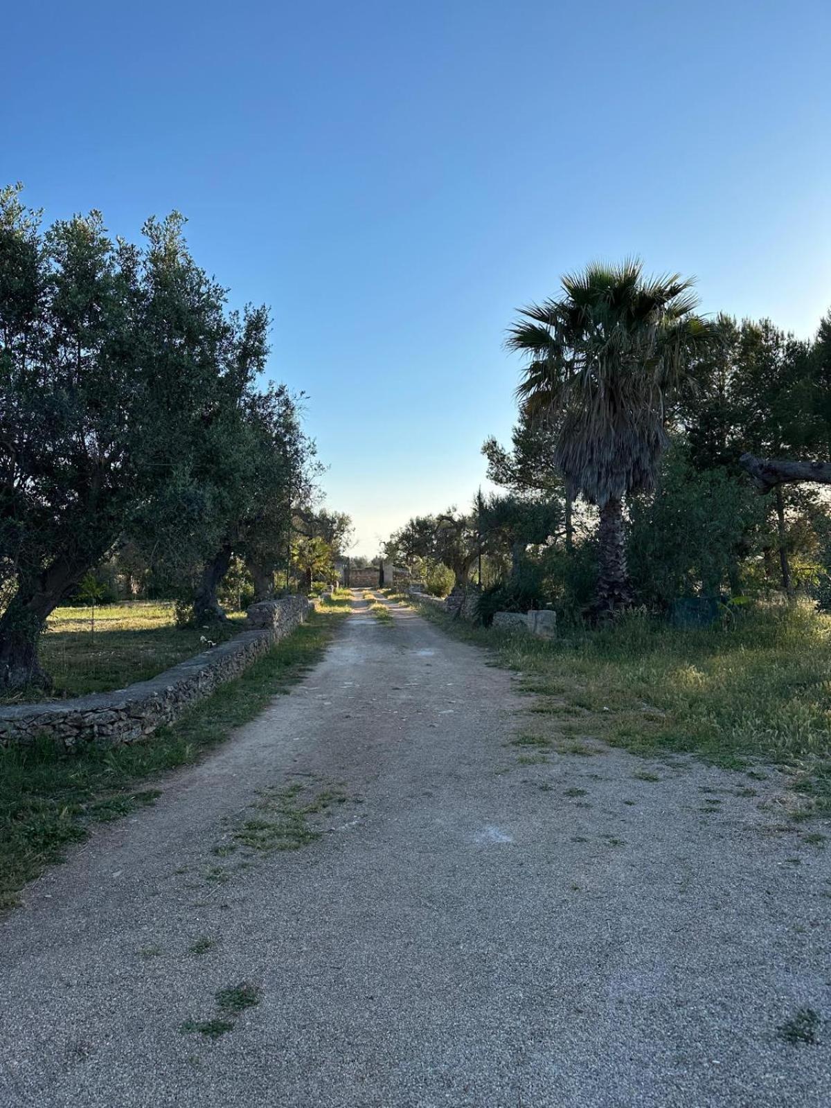 Villa La Petraia Magliano Exterior foto